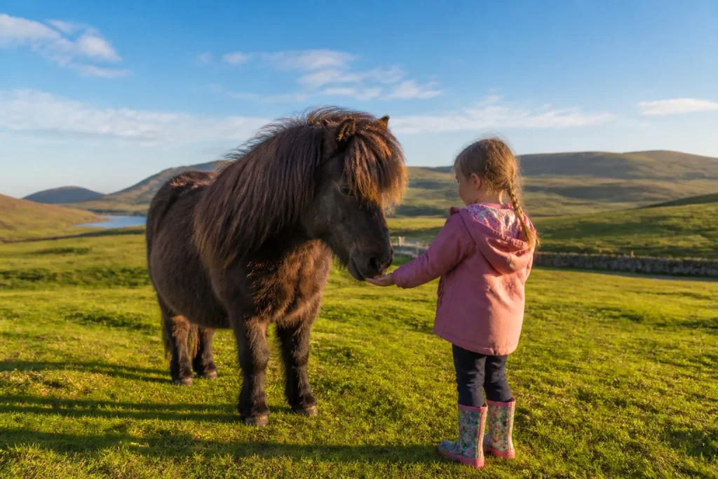 Douce rencontre dans les collines ecossaises