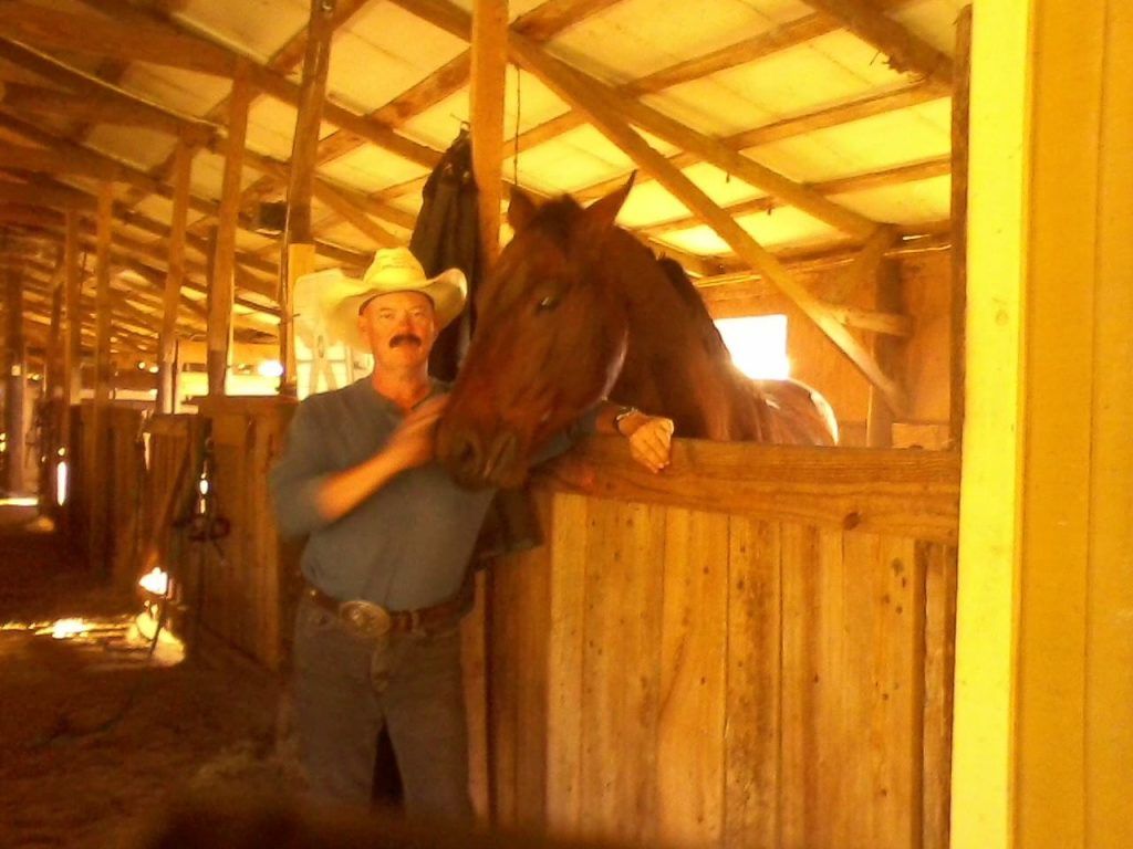 Cheval dans une écurie avec son soigneur