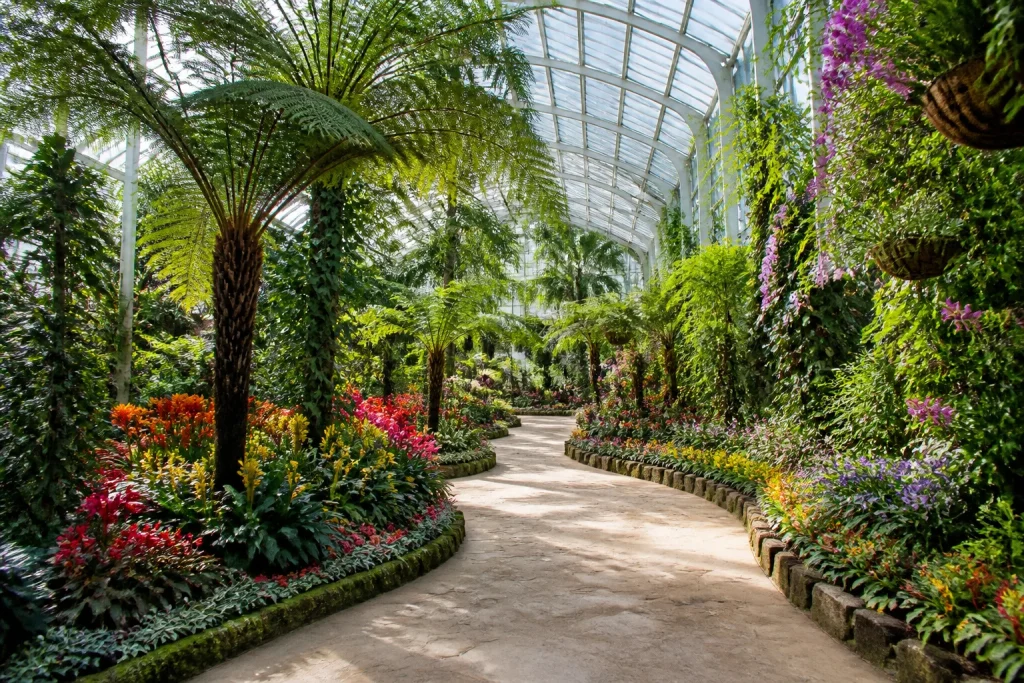 Jardin botanique luxuriant sous verriere