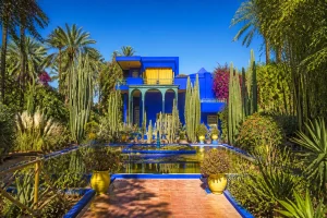 Jardin Majorelle : Voyage botanique et culturel